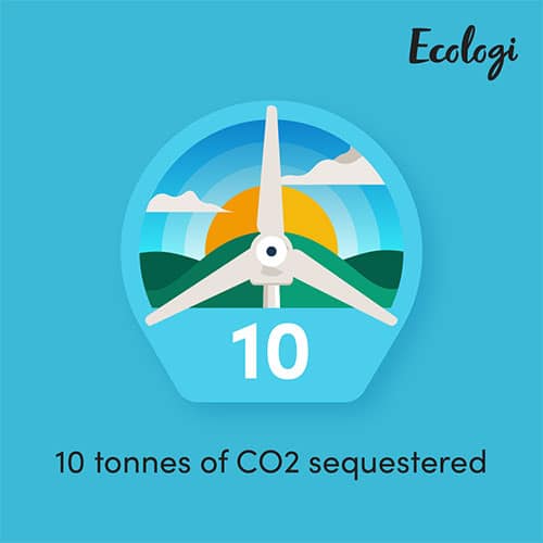 10 tonnes of co2 saved